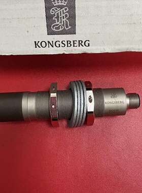 咨询KONGSBERG PSS11传感器，型号PSS11，550议价