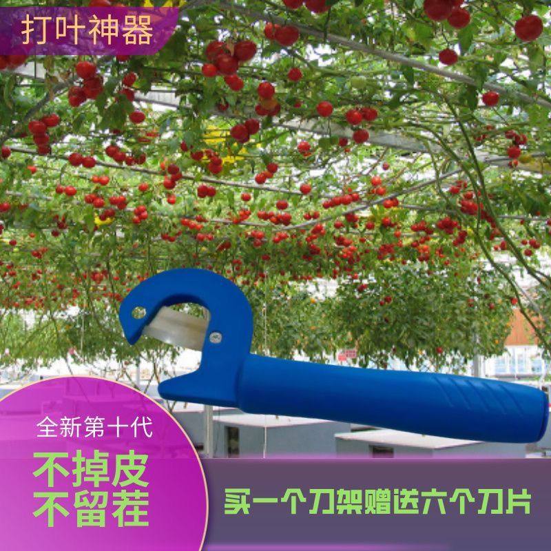 新款采摘刀番茄黄瓜打叶刀神器切口平整愈合快套装1套刀架6枚刀片,农机/农具/农膜,农用剪,淘宝优惠券,粉丝福利购,淘宝优惠卷