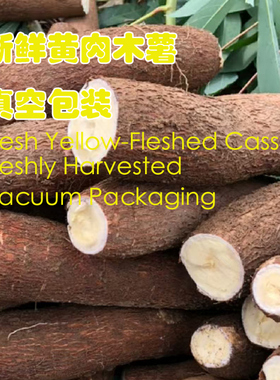 新鲜现挖黄肉木薯黄心acuumSealed Fresh Yellow-Fleshed Cassava