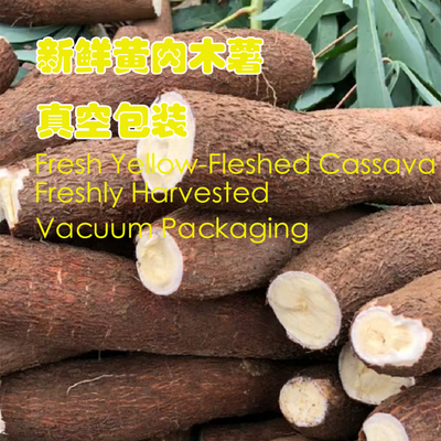 新鲜现挖黄肉木薯黄心acuumSealed Fresh Yellow-Fleshed Cassava