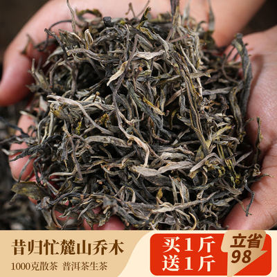 书呆子古树普洱茶生茶买1斤送1斤