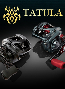 新款DAIWA达瓦24/25大小蜘蛛 精英黑蜘蛛TATULA大蜘蛛300水滴轮火