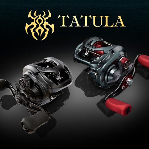 达瓦红蜘蛛火蜥蜴水滴轮