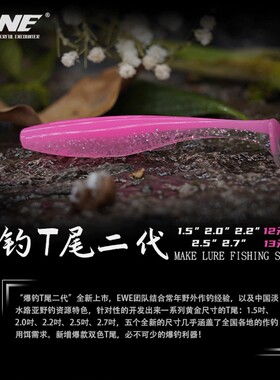 22新款EWE美夏二代爆钓t尾路亚软饵铅头钩软饵虫黑坑鳜鱼鲈鱼假饵