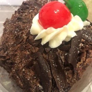 崇文门新侨三宝乐面包房巧克力树根蛋糕小时候味道老北京糕点甜点