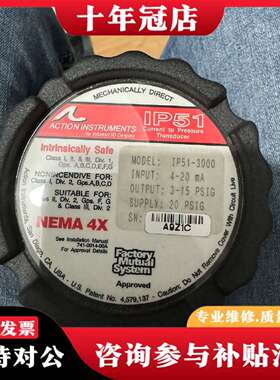 维修NEMA 4X.  IP51-3000议价