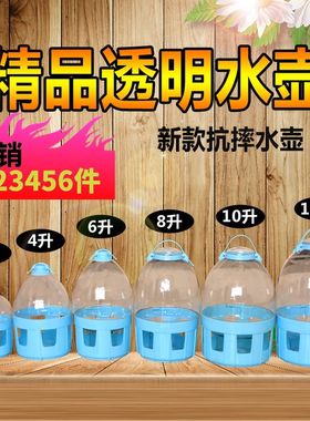 鸽子用品透明饮水器鸽具