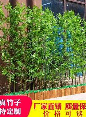 仿真带稍竹子加密细水竹景观竹酒店隔断屏风假竹子室内装饰室外