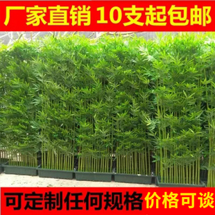 仿真竹子室内装 饰加密塑料假竹子隔断屏风室外人造竹仿真植物造景