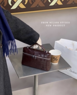 9class 帕利斯酒会 鳄鱼纹饭盒包手提小包包 高级感百搭斜挎包