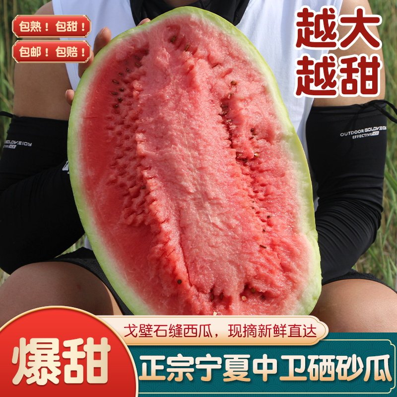 【现摘包邮】沙瓤宁夏中卫硒砂瓜