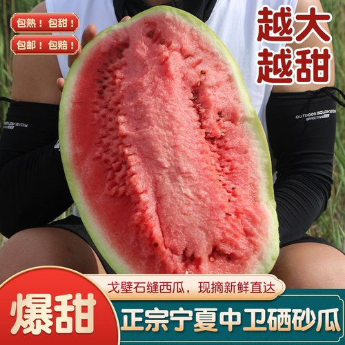 【现摘包邮】沙瓤宁夏中卫硒砂瓜