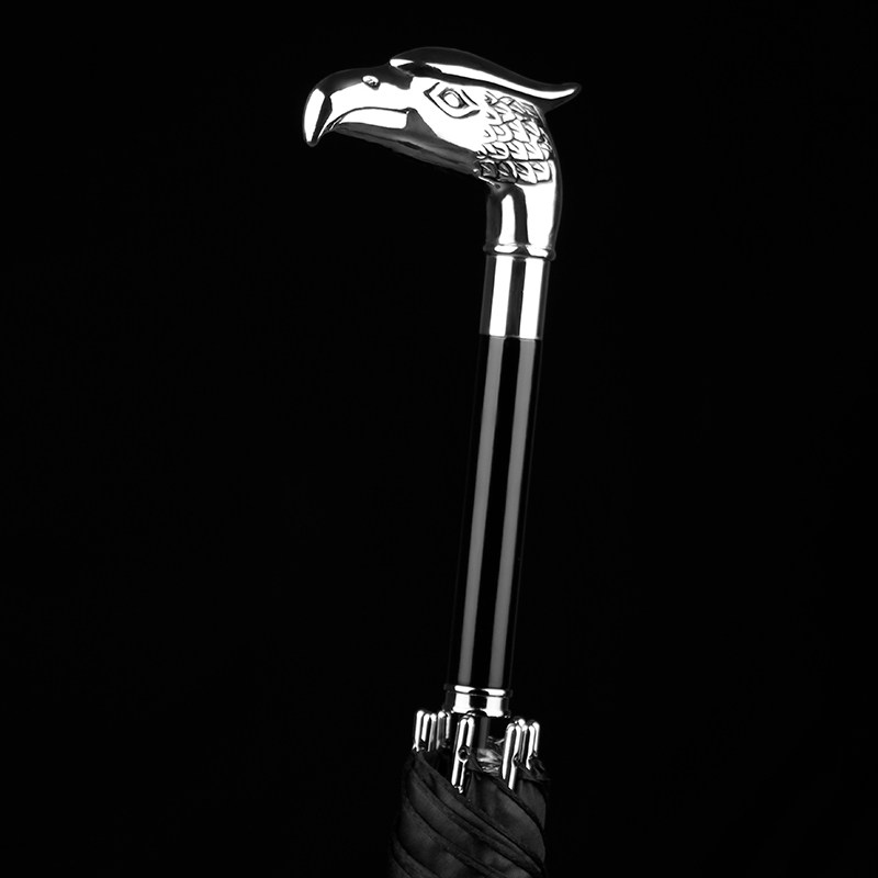 DanMunier自动长柄雨伞双人大号动物手柄纯色抗风雨伞个性创意伞