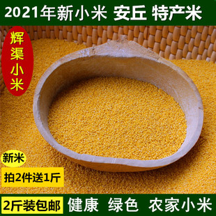 应季新米黄小米小黄米月子米农家杂粮食小米粥熬粥小米辉渠小米