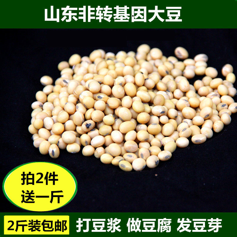 非转基因黄豆自种新豆山东农家自种土黄豆可发豆芽打豆浆2斤包邮