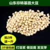 Товары от 安丘乡约生态农业