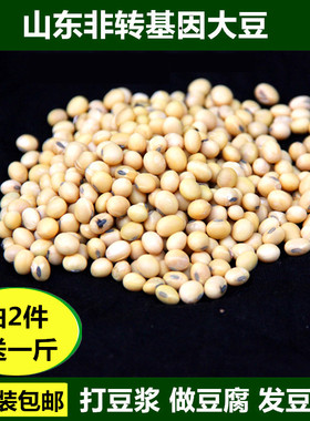 非转基因黄豆自种新豆山东农家自种土黄豆可发豆芽打豆浆2斤包邮