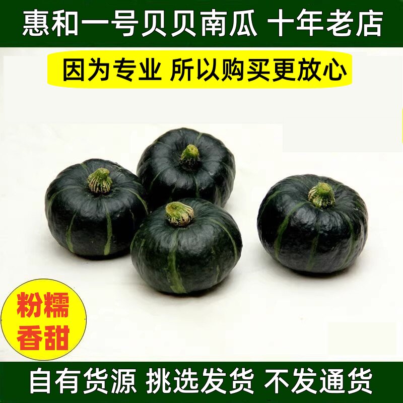 惠和一号贝贝南瓜新鲜迷你小南瓜板栗南瓜老南瓜正宗真贝贝南瓜 - 实物图