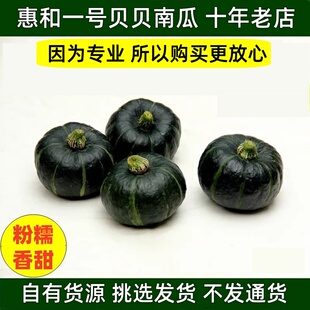 惠和一号贝贝南瓜新鲜迷你小南瓜板栗南瓜老南瓜正宗真贝贝南瓜