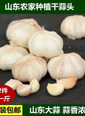 2026农家自种大蒜头紫皮蒜山东特产金乡干蒜头干货蔬菜2斤装包邮