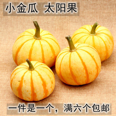黄色小南瓜迷你南瓜雕刻摆设新鲜