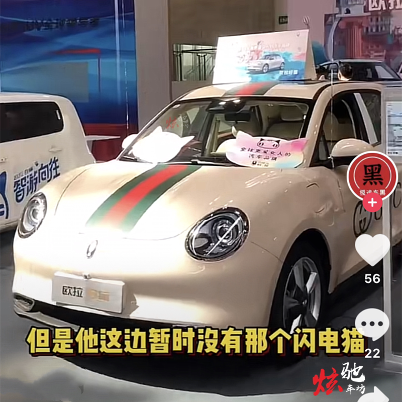 欧拉好猫车贴拉花 零跑t03  黑猫白猫机盖车身车展改装个性贴纸