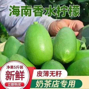 【正常发货】海南无籽香水青柠檬新鲜柠檬奶茶店专用当季大果鲜果