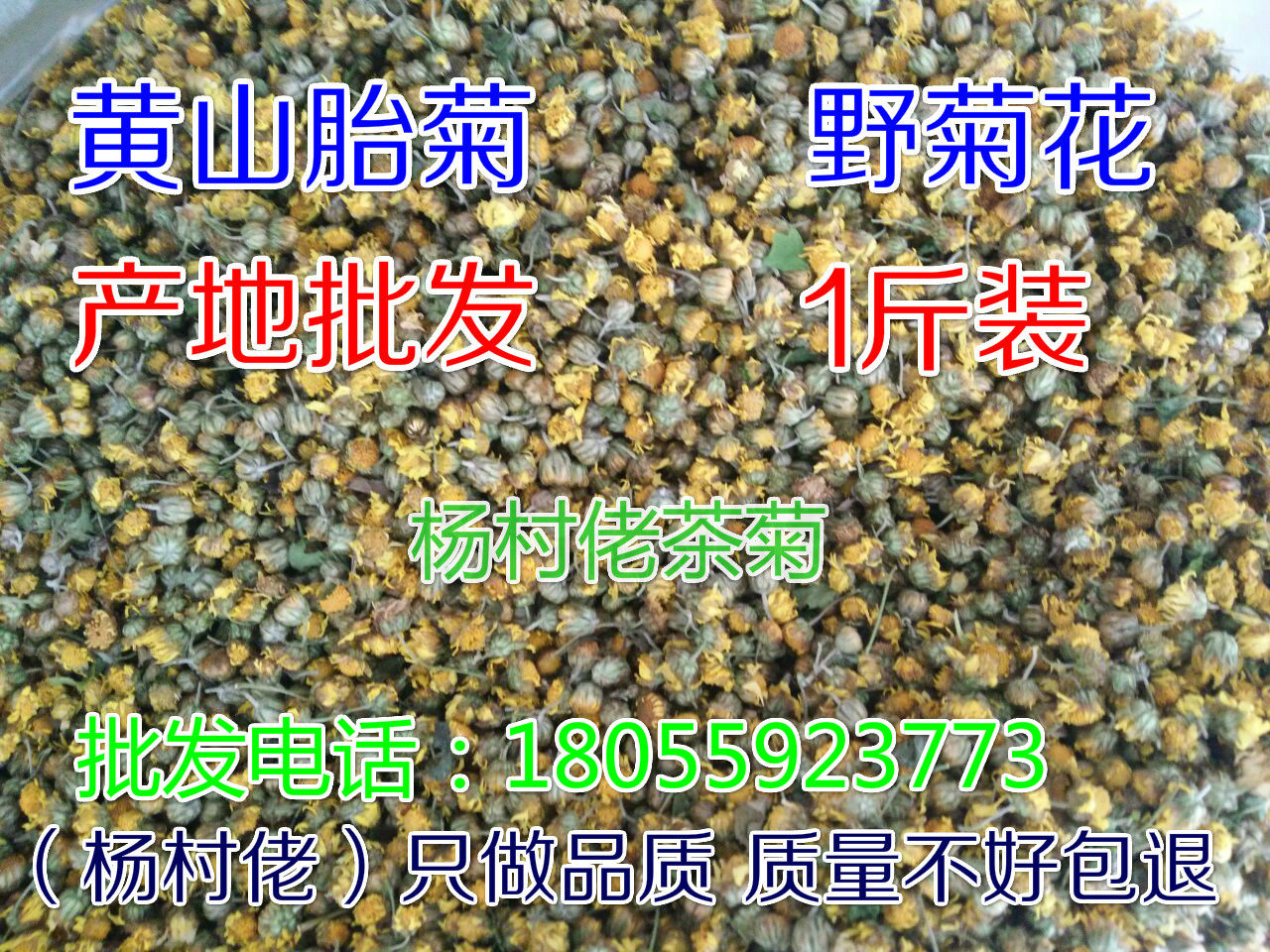 安徽黄山野菊花茶特小米菊花胎菊黄菊贡菊菊花茶500g（1斤装）
