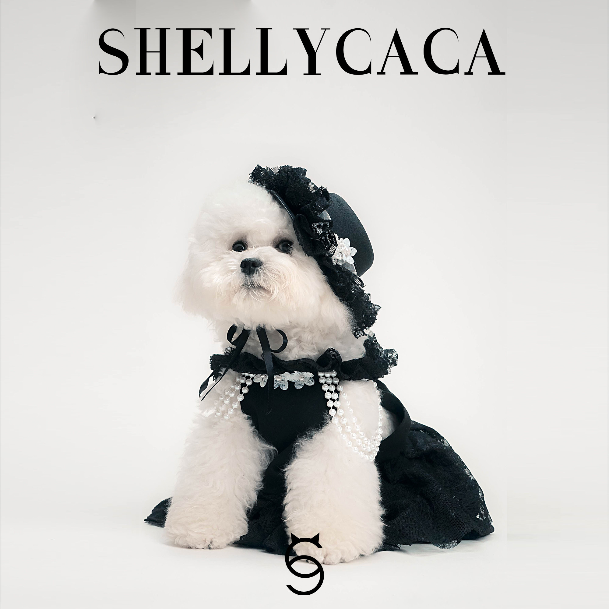 Shellycaca 伯爵夫人•黑 公主裙 德文 雪纳瑞马尔济斯小型衣服