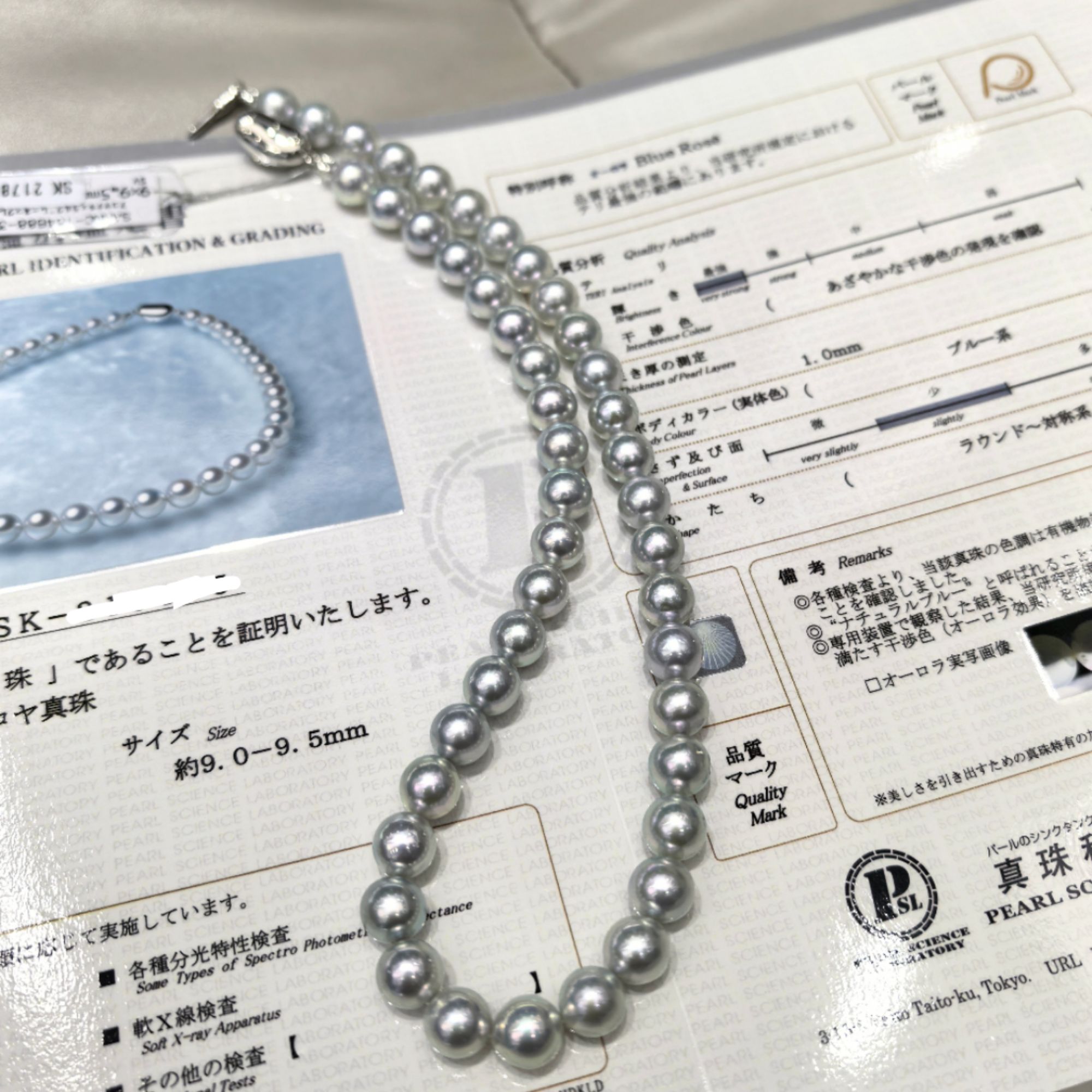 Blue Rose祖师熊猫海水真多麻项链不含定位扣（真科研）2382H00DY