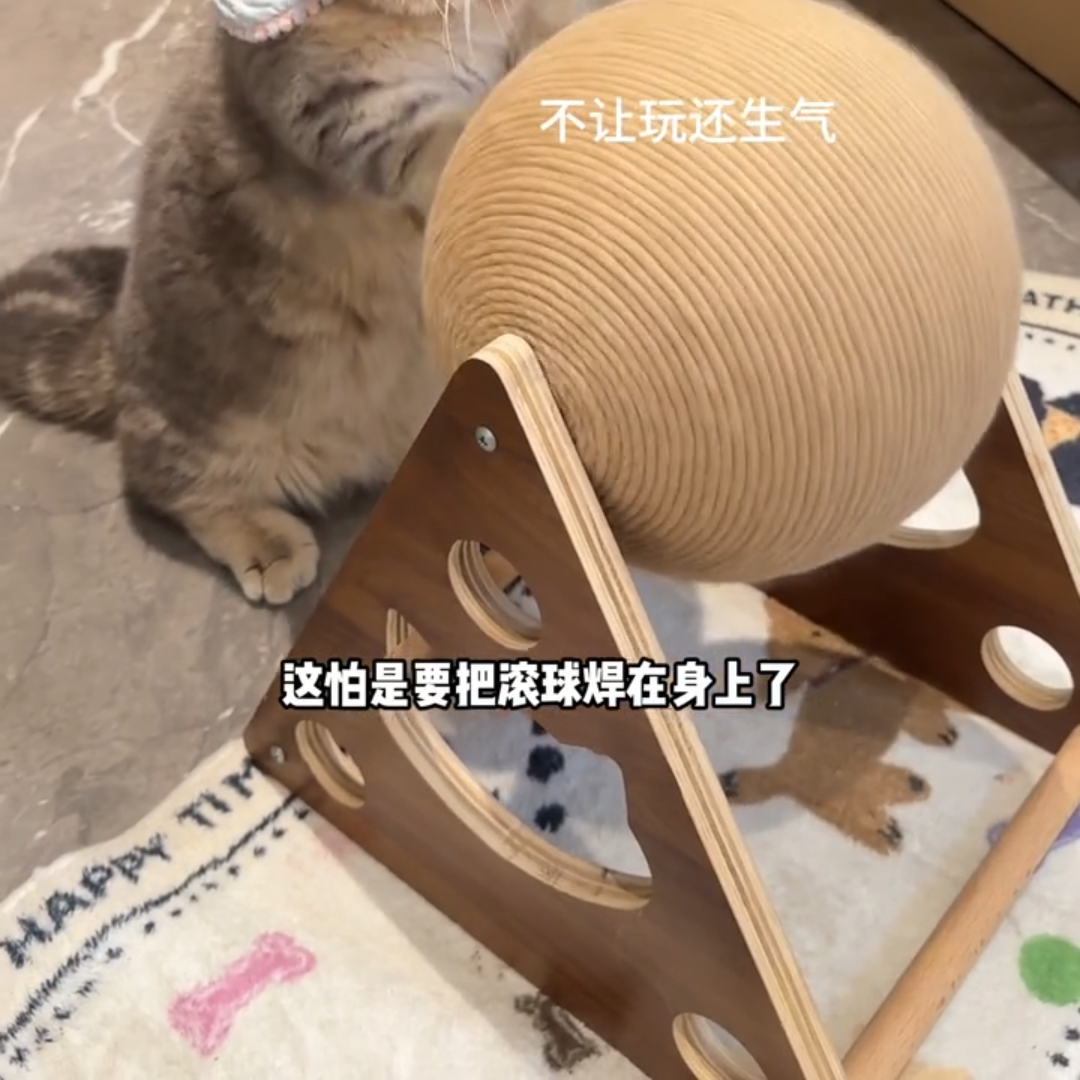 手摇发电机猫抓球剑麻绳自嗨板