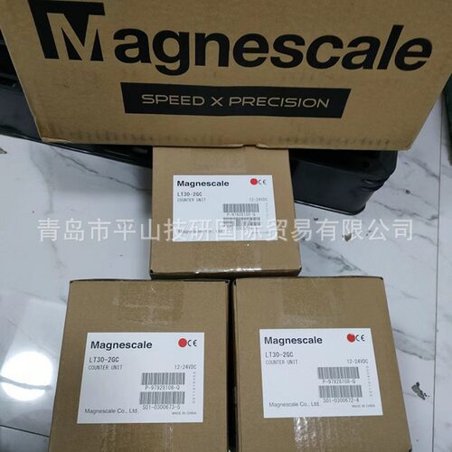 Magnescale索尼DT12N探头