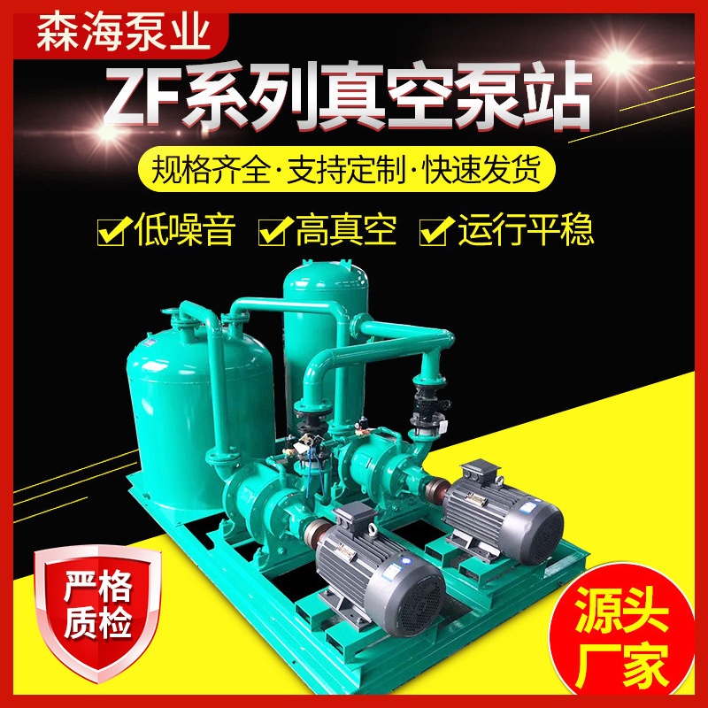 定制水环真空机组 zf系列真空负压站 真空泵化工 电池厂家供应
