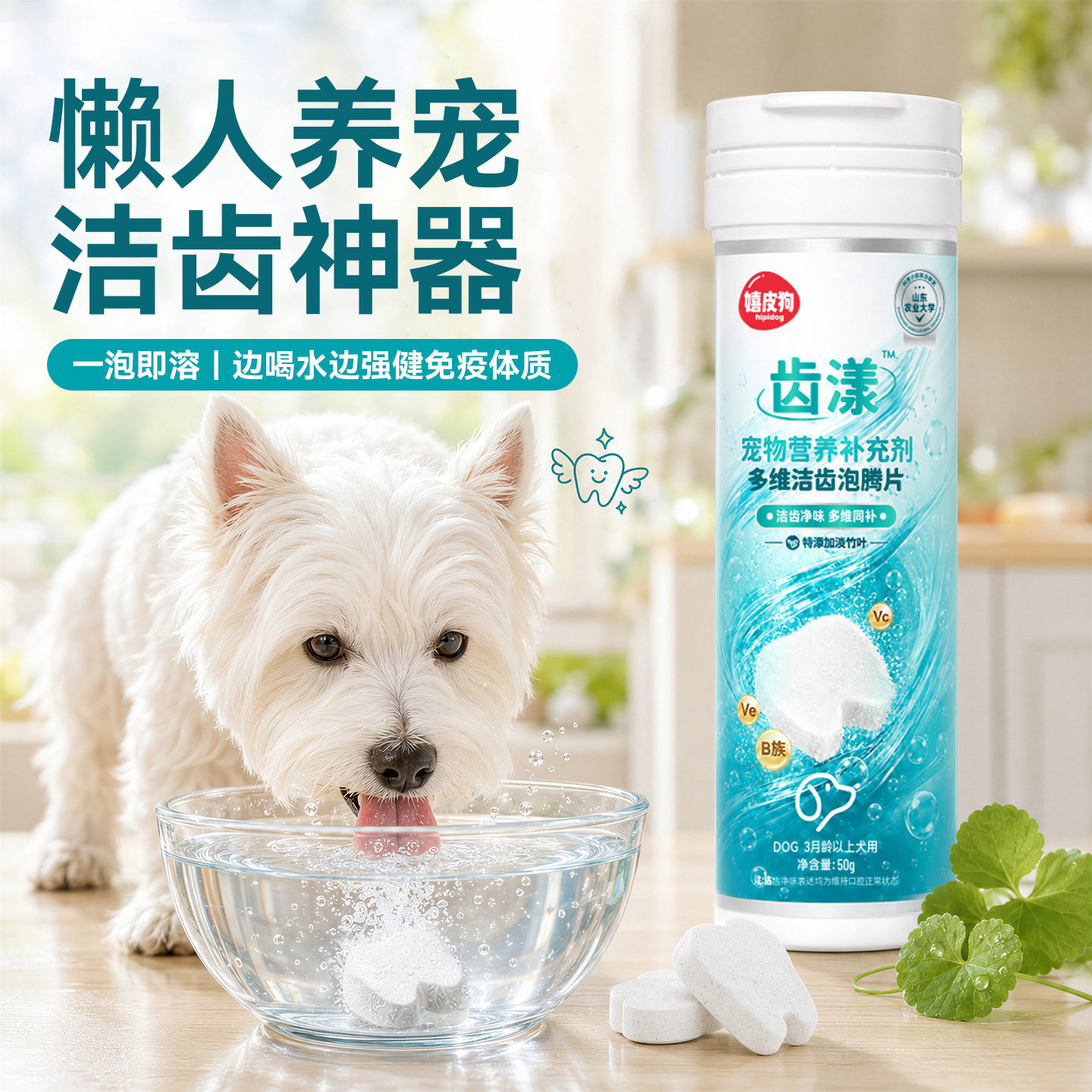泡腾片宠物洁齿去口臭多维营养饮水片宠物洁齿片猫咪狗狗保健用品