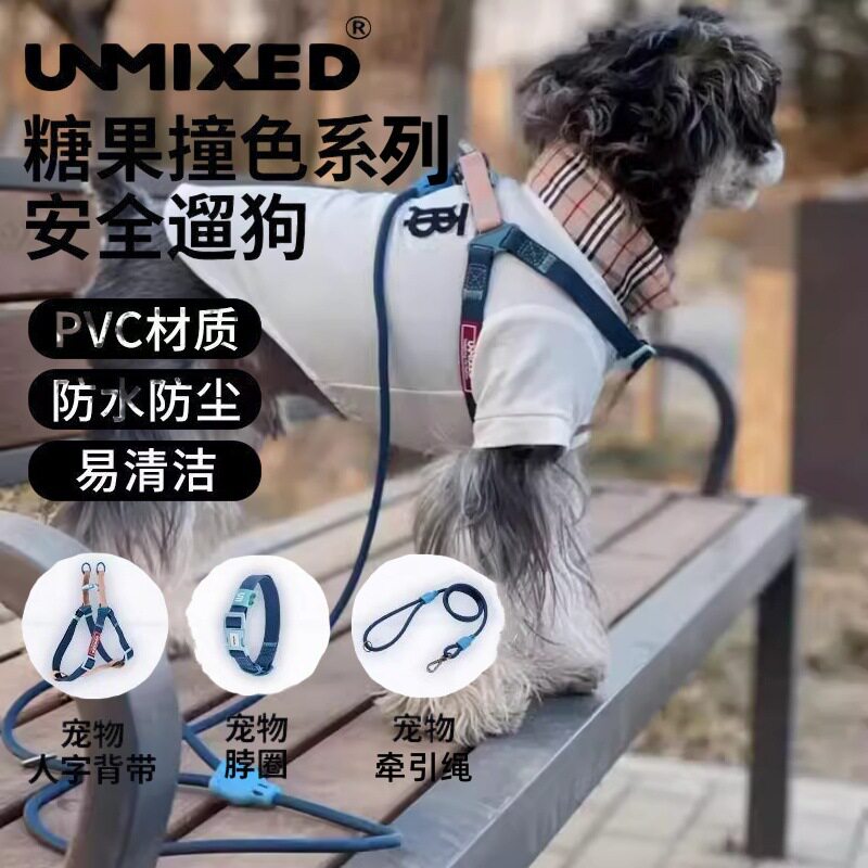 新款狗狗牵引绳撞色PVC项圈胸背套装狗绳防水耐用结实宠物用品