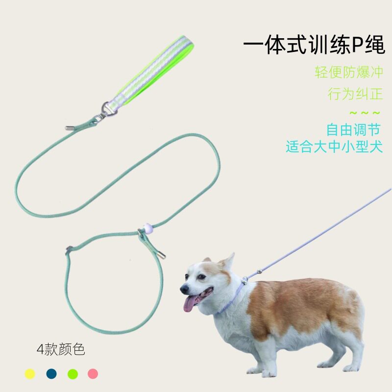 新款宠物用品狗狗牵引绳一体式P绳不勒手防爆冲训练控制狗链批发