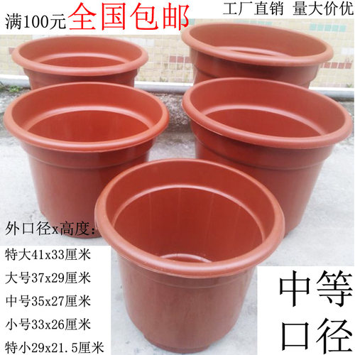 简约耐用塑料经济实惠