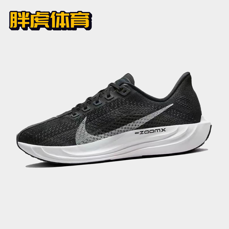 耐克男子跑步鞋PegasusPlus