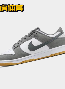 Nike Dunk Low 白灰色 男子低帮复古休闲运动板鞋 FV0389-100