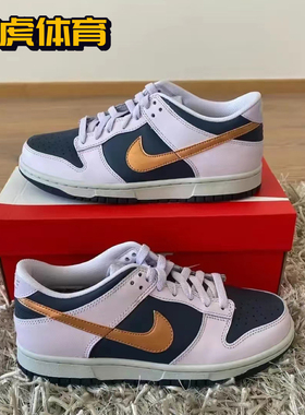 Nike Dunk Low GS 蓝紫色 女子低帮复古休闲运动板鞋 DX1663-400