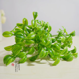 Simulation bean sprout simulation mung bean sprouts/mung bean seedlings/bean sprouts small flower pot plug accessories