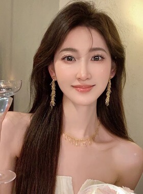 Loga.Py流苏项链女小众设计感精致2024年新款气质锁骨链颈链潮