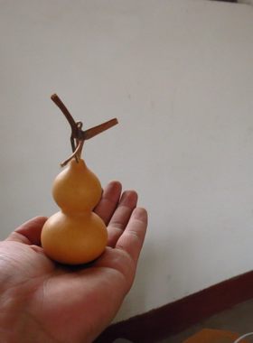 包邮天然葫芦种子特小