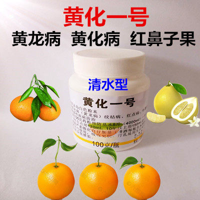 黄龙病黄化一号柑橘黄叶沙糖桔柚子叶斑病脐橙沃柑红鼻子果专用