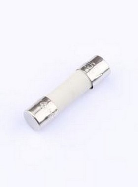 0234010.MXP 一次性保险丝 250V