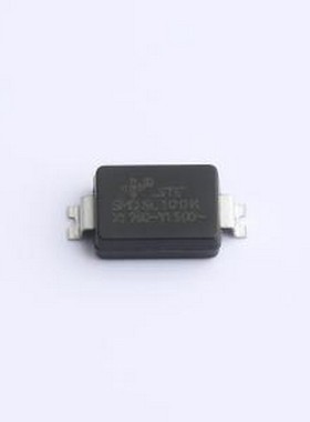 SMDY13225SL100K0 安规电容 10pF ±10% SMD,8.1x6mm