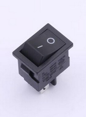 RS601D1-2010011BB-3A 船型开关 双刀船型开关 插件