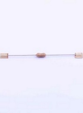 2E1160A 一次性保险丝 插件式保险丝 插件