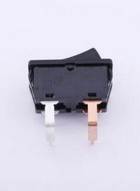 SDDJF31100 船型开关 SDDJF31100 插件