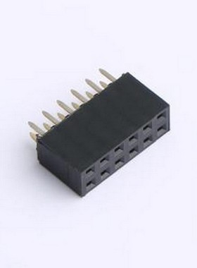 DS1023-01-2x6SF11 排母 2x6P 间距:2.54mm 黑色 插件,P=2.54mm